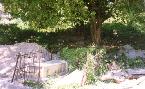 Cemetry Sites