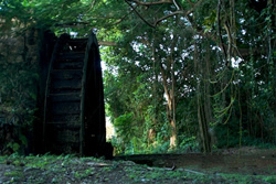 Drax Hall Waterwheel